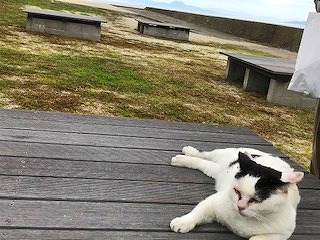 湯島上陸の巻～その１～