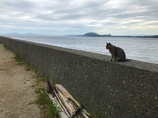 湯島上陸の巻～その２～